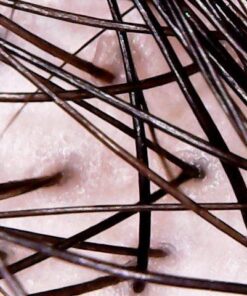 Natrol Biotin Beauty Tablets Promotes Healthy Hair Skin and Nails Helps Support Energy Metabolism Helps Convert Food Into Energy Maximum Strength 10000mcg, Multi, 200 Count 39 61ug 5vRr5L