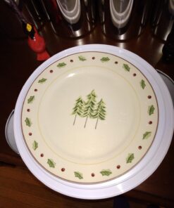 STERILITE Cake Server, 1 pack, White 33 61uhqF5v2BL