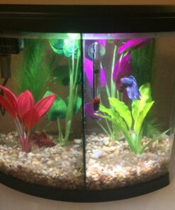 API STRESS COAT Aquarium Water Conditioner 16-Ounce Bottle 16 oz Aquarium Treatment 38 61ui9N4aZDL