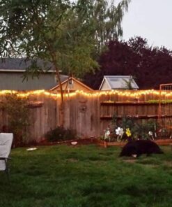 Noma/Inliten Holiday Wonderland 100-Count Clear Christmas Light Set,Green Wire 30 61uiiNQ8ThL