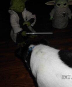 STAR WARS Legendary Jedi Master Yoda, Collector Box Edition 28 61ukoSHeKnL