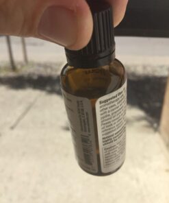 NOW Essential Oils, Cypress Oil, Balancing Aromatherapy Scent, Steam Distilled, 100% Pure, Vegan, Child Resistant Cap, 1-Ounce 33 61urG6237qL