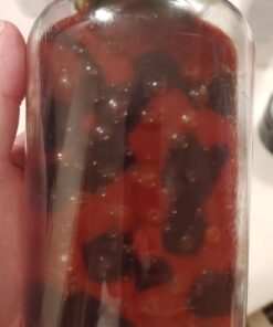 Vitafusion Womens Multivitamin Gummies, Berry Flavored Daily Vitamins for Women With Vitamins A, C, D, E, B-6 and B-12, America’s Number 1 Gummy Vitamin Brand, 75 Days Supply, 150 Count 31 61usIpS1SzL