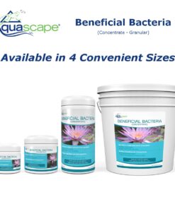 Aquascape 98949 Beneficial Bacteria Concentrate for Pond and Water Features, 1.1-Pound, white 23 61uscxQHL