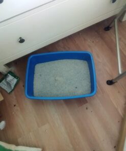 Van Ness Cat Pan - Medium (Assorted Colors) Blue 25 61uw4nMsnkL