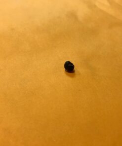 Herb Pharm Stone Breaker (Chanca Piedra) Compound Liquid for Urinary System Support - 1 Fl Oz 1 Fl Oz (Pack of 1) 26 61v0oHSZ0L