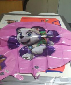 Paw Patrol Girls Pup Skye and Everest Foil Balloons Birthday Party Supplies (5 Piece Bouquet) 19 61v860lDzAL
