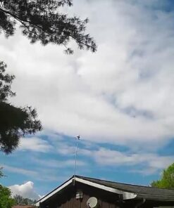 FOSCAM Outdoor Security Camera,G4 Full HD 4MP 2K WiFi Security Camera, Alexa Compatible, AI & Motion Detection, Free Cloud Service Included, 65ft Night Vision IP66 Weatherproof,Black 4MP Black 30 61vA27o5fHL