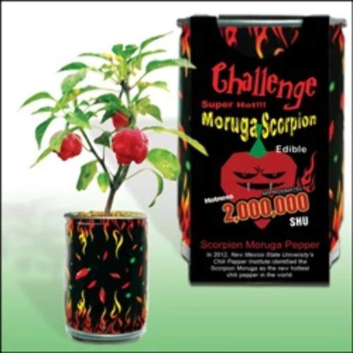 Moruga Scorpion Pepper - Grow Your Own Hottest Pepper in the World! - 2,000,000SHU 3oz/85gr