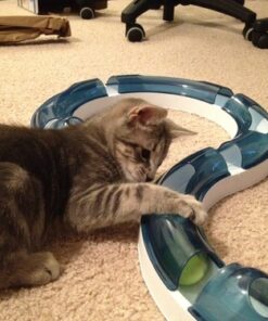 Catit Design Senses Play Circuit, Original Blue 23 61vEDzUDVOL