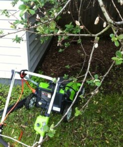 Greenworks 10 Amp 16-inch Corded Mower, 25142 16" Corded Mower 71 61vKjRd7DAL