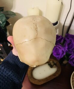 Grinning Highly Realistic Replica Human Skull Statue Home Décor 6.5x4.25x4.6" 41 61vKzf1G6fL