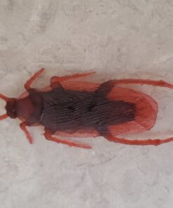 Cooplay 20PCS - Fake Roaches Prank - Cockroach Bugs Look Real Black Red 36 61vQghSGBOL