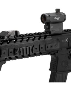 Sig SauerAir Rifle Iron Sights W/ Red dot Black 10 61vSGOq2fL