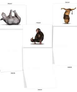 The Best Card Company - 10 Blank Yoga Note Cards (4x 5.12 Inch) - Boxed Notecards with Envelopes, Cute Animal Cards, Zen Assortment - Zoo Yoga M6547OCB 11 61vSva1OplL