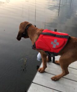 Petrainer Training Collar for Dogs - Waterproof Rechargeable Dog Training E-Collar with 3 Safe Correction Remote Training Modes, Static, Vibration, Beep for Dogs Small, Medium, Large 40 61vVP k1L7L