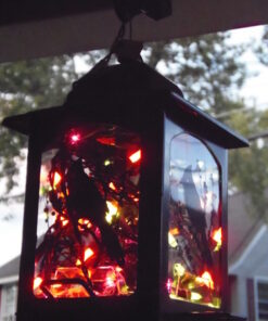 Perky-Pet 363 Birds and Berries Lantern Feeder 8.20 x 8.20 x 10.75 inches 19 61vVzk5GT3L