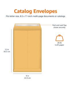 Amazon Basics Catalog Mailing Envelopes, Peel & Seal, 9x12 Inch, Brown Kraft, 100-Pack 9 x 12 18 61vXHOS3lkL