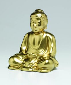 Rust-Oleum 340647 Specialty Metallic Spray, 11 oz, Gold 11 Ounce 28 61vjn8dxjjS