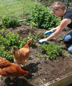 CobraHead® Original Weeder & Cultivator Garden Hand Tool - Forged Steel Blade - Recycled Plastic Handle - Ergonomically Designed for Digging, Edging & Planting - Gardeners Love Our Most Versatile Tool 49 61vlps5yaL 1