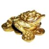 1 X Feng Shui Money Frog/Money Toad Attract Wealth