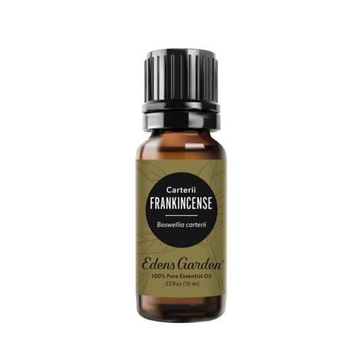 Edens Garden Frankincense- Carterii Essential Oil, 100% Pure Therapeutic Grade (Undiluted Natural/Homeopathic Aromatherapy Scented Essential Oil Singles) 10 ml Frankincense Carterii 10 ml (.33 fl oz)