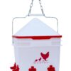 RentACoop 2 Gallon Chicken BPA-Free Plastic Bucket Waterer Set with 4 Horizontal Nipples - Corner Placement 6 61vpTNyUddL