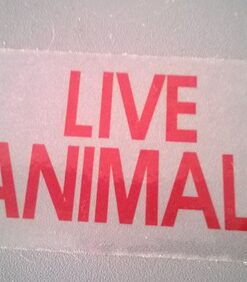Petmate Sky Kennel Pet Carrier, 36 Inch, Made in USA 36.0"L x 25.0"W x 27.0"H 73 61vqIXGOm3L