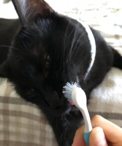 Virbac CET Enzymatic Toothpaste Eliminates Bad Breath by Removing Plaque and Tartar Buildup, Best Pet Dental Care Toothpaste -Beef Flavor, 2.5 Oz Tube (Color Varies) Beef 30 61vuT4klB1L