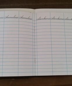 Spencerian Cursive Copybook Set Plus Theory 60 61vunRJeQjL