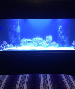 Hydrofarm FLT44 System 4' Fluorescent Grow Light, 1 Count (Pack of 1), White 4 Tubes 4-Feet 20 61vvIg2rYcL