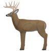 Shooter Buck 3D Deer Archery Target 3-D Buck Target 11 61vwsrWeD3L