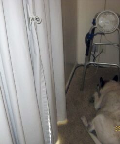 Hurricane Fans - Classic 6 Inch Clip Fan - Portable Fan with Strong Clamp, Two Speed Settings, and Adjustable Tilt Mechanism, White - Great Work Fan, School Fan, Desk Fan, Greenhouse Fan 6" Classic 36 61vxHGjysgL