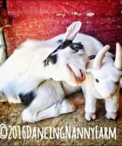 Fiesta Wild Animals Series 9'' Standing Goat 7 61wEIpv3PL