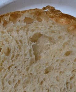 Saf Instant Yeast, 1 Pound Pouch 1 Pound (Pack of 1) 71 61wG49GuCAL