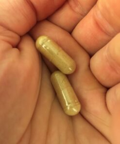 PURELY beneficial RESVERATROL1450-90day Supply, 1450mg per Serving of Potent Antioxidants & Trans-Resveratrol, Promotes Anti-Aging, Cardiovascular Support, Maximum Benefits (1bottle) 33 61wPhpvML 1