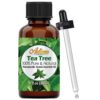Artizen 30ml Oils - Tea Tree Essential Oil - 1 Fluid Ounce 1 Fl Oz (Pack of 1) 16 61wS X93edL