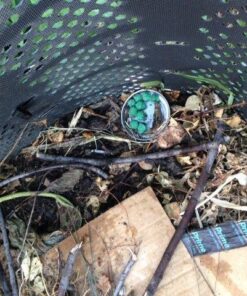 Neogen Ramik Green Fish Flavored Weather Resistant Rodenticide Nuggets, 4 lb bag 4-pound pouch 44 61wV7JBYBSL