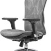 SIHOO M57 Ergonomic Office Chair with 3 Way Armrests Lumbar Support and Adjustable Headrest High Back Tilt Function Grey 48 61wb916ZK1L