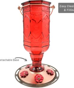 More Birds Red Jewel Hummingbird Feeder, Glass Hummingbird Feeders for Outdoors, 5 Feeding Stations, 20 Ounces Standard Packaging 24 61wmZ4alAGL