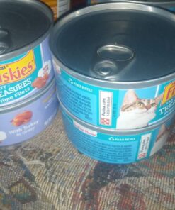 Purina Friskies Gravy Wet Cat Food Variety Pack, Tasty Treasures Prime Filets - 5.5 Ounce (Pack of 12) 5.5 Ounce (Pack of 12) 37 61wrZ2bQ oL 1