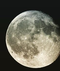 Nikon D3300 DX-format DSLR Kit w/ 18-55mm DX VR II & 55-200mm DX VR II Zoom Lenses and Case (Black) 35 61wrpxseXlL