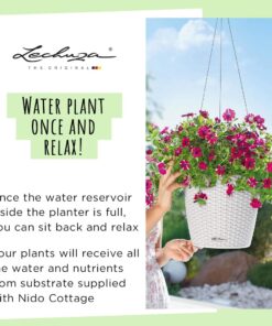 Lechuza 15190 Nido Cottage-All-In-One, White, 11 x 9 inch Self Watering Planter, D27 H23 cm 15 61wuGEAd UL