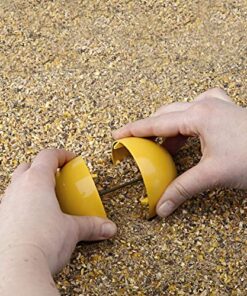 Lixit Chicken Feeder Toy (1 Pack) 1 Pack 13 61wym0sJjtL