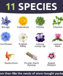 Wildflower Seeds Edible Flowers Mix - 1 Ounce Over 7,000 Open Pollinated Annual and Perennial Seeds 1 Ounce Packet 28 61x4RFaedNL