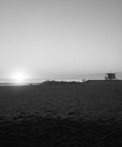 Kodak 857 2273 Professional 100 Tmax Black and White Negative Film 120 (ISO 100) 5 Roll Pack 1-Pack 12 61x4r30vgmL