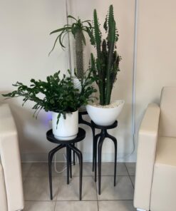 SUMMIT CHEMICAL CO 117-6 30OZ Mosquito Bits 26 61x8NJYmq4L