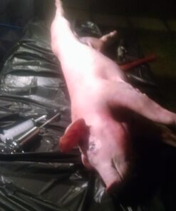 Grill Beast - 304 Stainless Steel Meat Injector Kit with 2-oz Large Capacity Barrel and 3 Professional Marinade Needles Beast Injector 37 61xBl4YmFCL