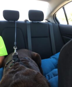 Leash Boss Dog Car Seat Belt Restraint - No-Chew Heavy Duty Car Seatbelt for Pets - 5 Sizes - Coated Steel Rope to Prevent Chewing (31 in) Black - 1-Pack 31in 31 61xPQmHEwsL