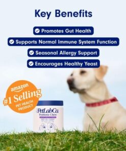 PetLab Co. Probiotics for Dogs, Support Gut Health, Diarrhea, Digestive Health & Seasonal Allergies - Pork Flavor - 30 Soft Chews - Packaging May Vary Single Pack 39 61xdzB191EL